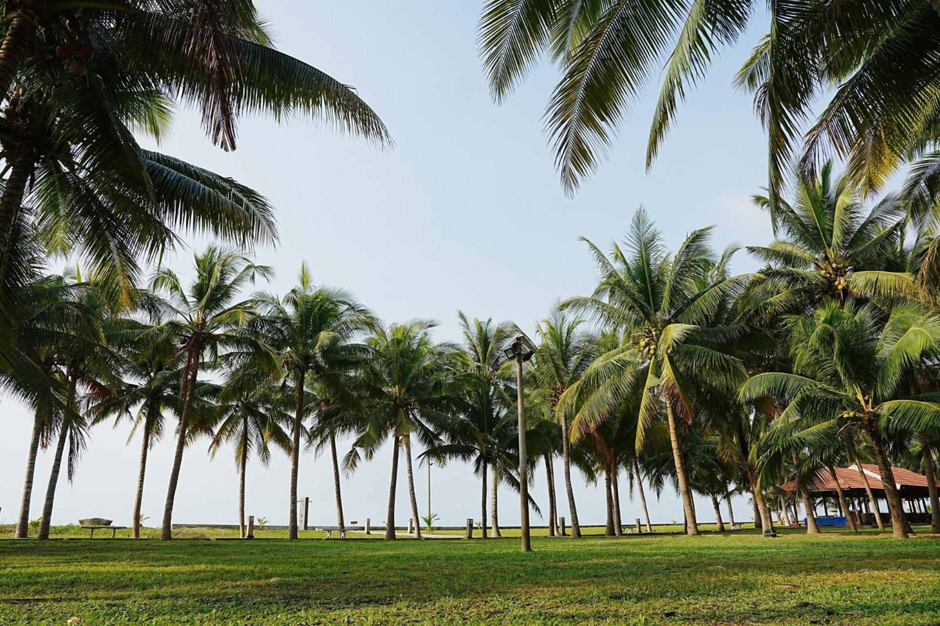 Dat Lanh Beach Resort Lagi Luaran gambar